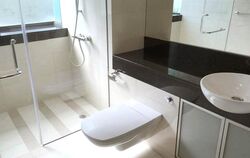 Duet (D10), Condominium #511681501